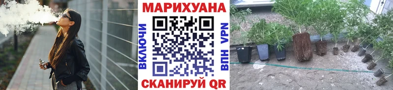 Какие есть наркотики Карачаевск Alpha-PVP МАРИХУАНА