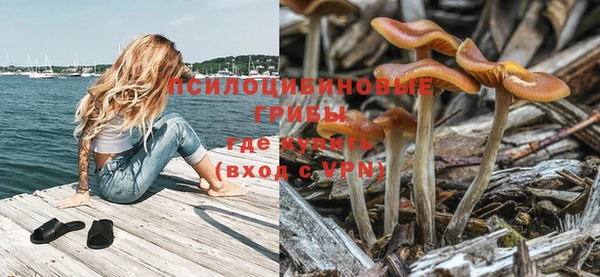 индика Бугульма