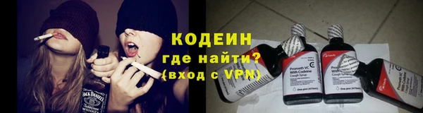 ПСИЛОЦИБИНОВЫЕ ГРИБЫ Верея