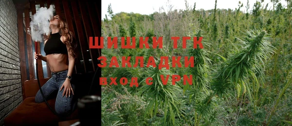 эйфоретик Бородино