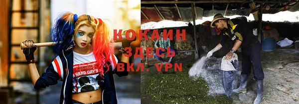 ПСИЛОЦИБИНОВЫЕ ГРИБЫ Верея