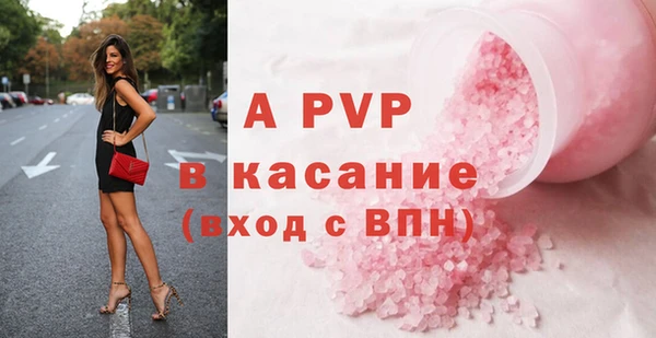 ПСИЛОЦИБИНОВЫЕ ГРИБЫ Верея
