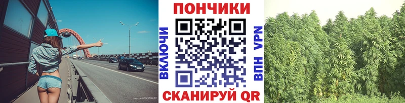 Бошки марихуана Amnesia  Карачаевск 